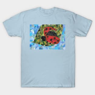 Grouchy Ladybug T-Shirt